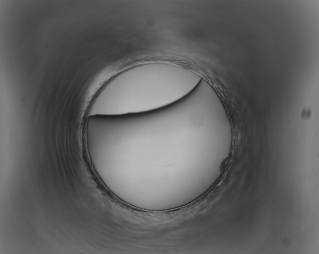 X0000093570006200710151026