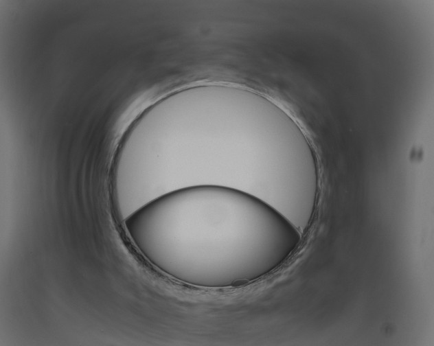 X0000093570007200710151026
