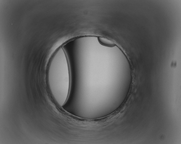 X0000093570008200710151026