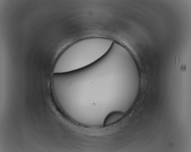 X0000093570010200710151025