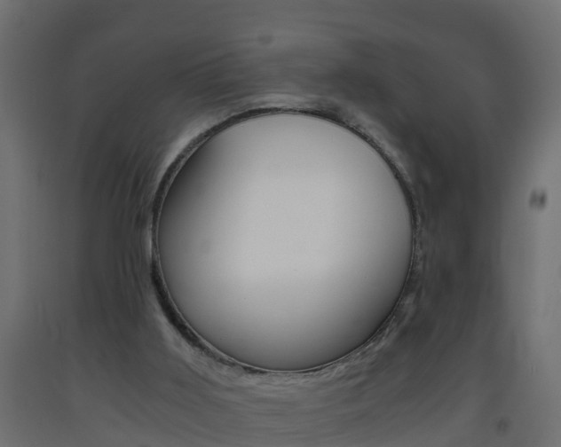 X0000093570011200710151025