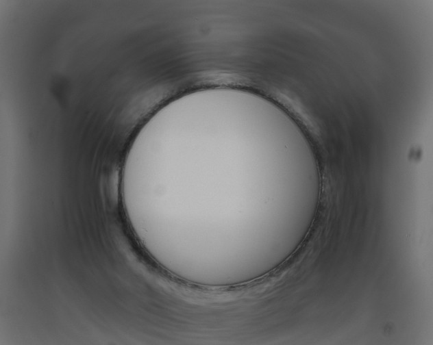 X0000093570014200710151025