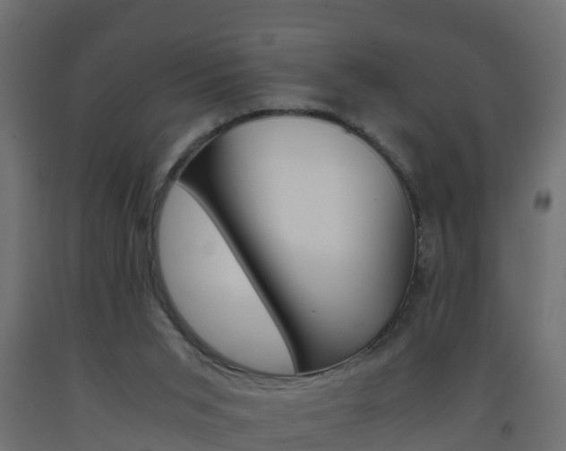 X0000093570015200710151025