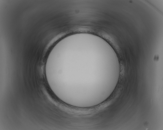 X0000093570016200710151025