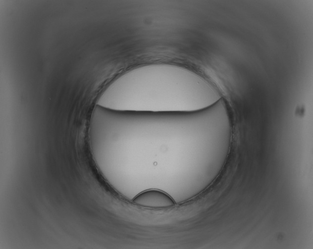 X0000093570018200710151025
