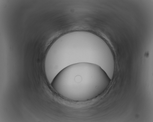 X0000093570019200710151025