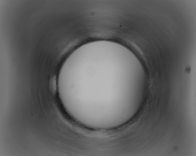 X0000093570020200710151025