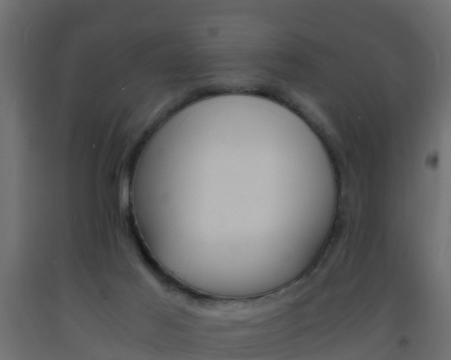 X0000093570021200710151025