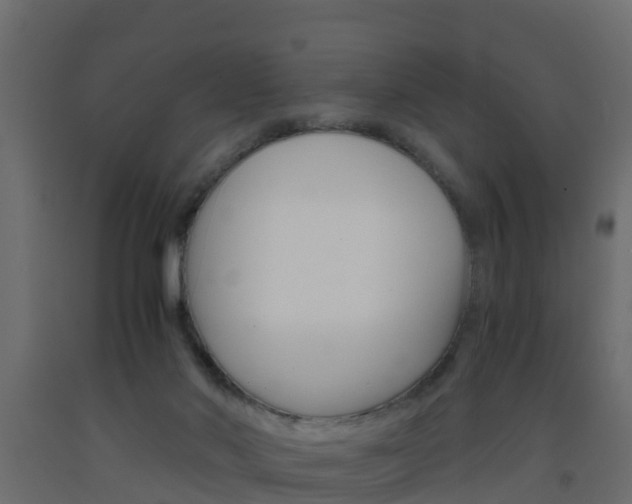 X0000093570022200710151025