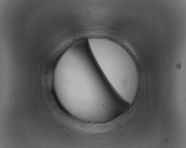 X0000093570023200710151025