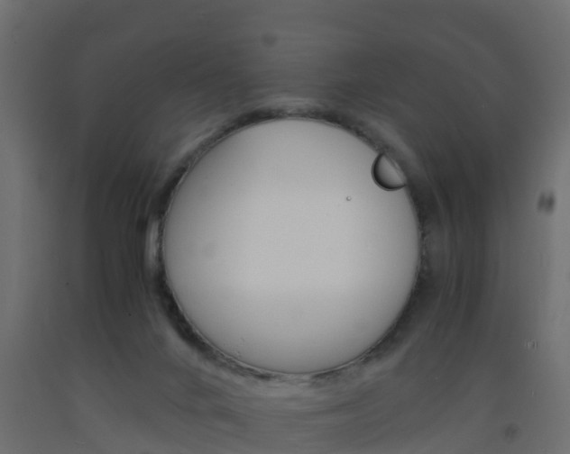 X0000093570024200710151025