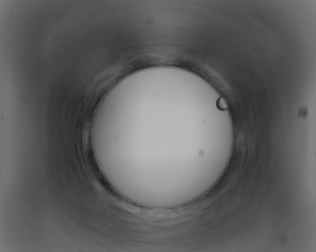 X0000093570026200710151025