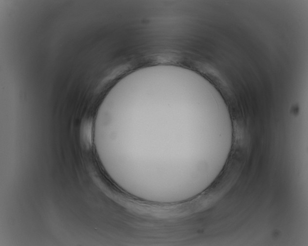 X0000093570028200710151025