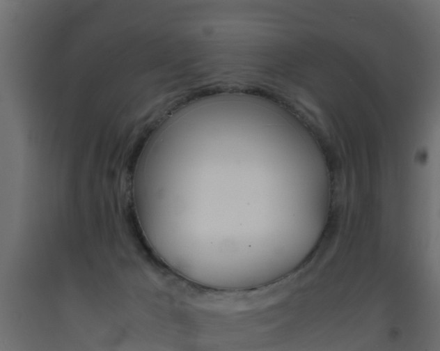 X0000093570029200710151025