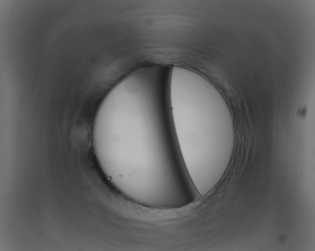 X0000093570031200710151025