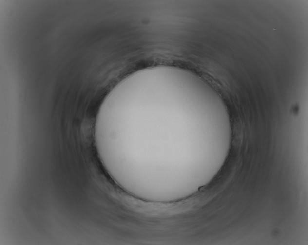 X0000093570034200710151025
