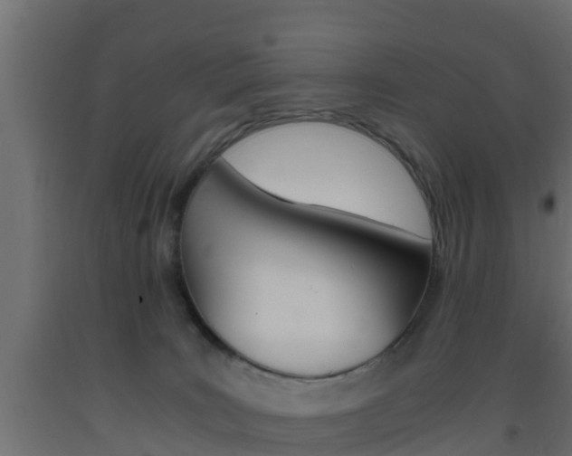 X0000093570035200710151025