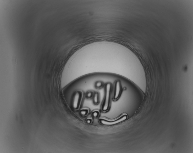 X0000093570037200710151025