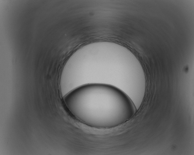 X0000093570039200710151025