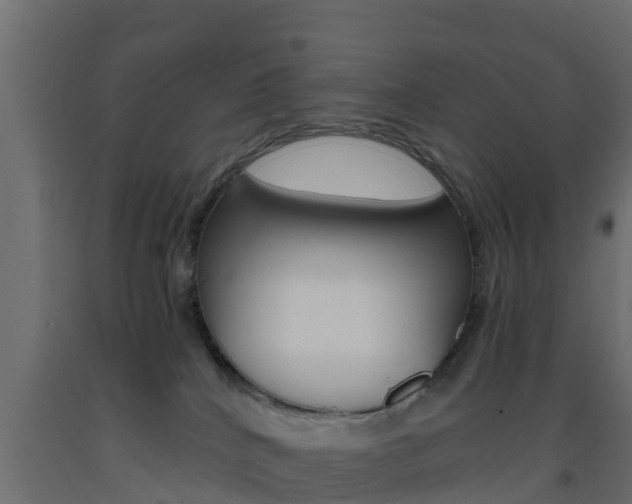 X0000093570040200710151025