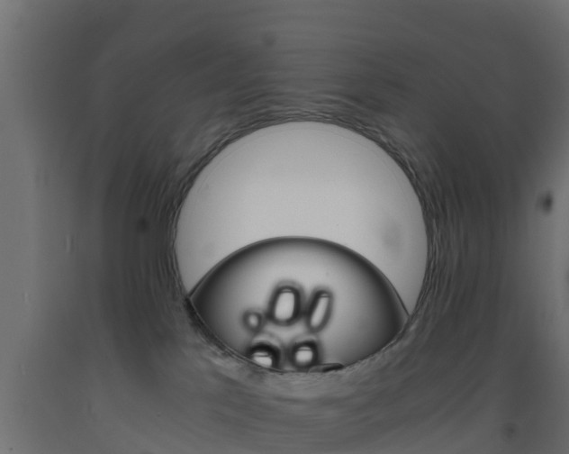 X0000093570041200710151025