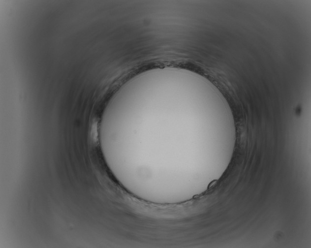 X0000093570042200710151025