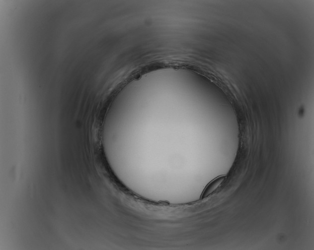 X0000093570044200710151025