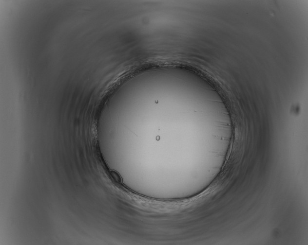 X0000093570048200710151025