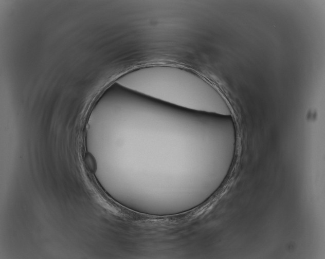 X0000093570049200710151024