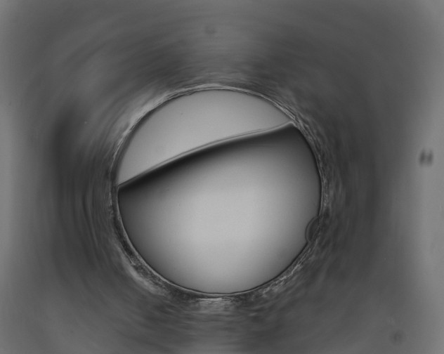X0000093570050200710151024