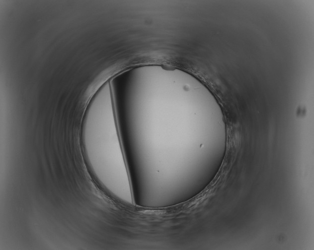 X0000093570051200710151024