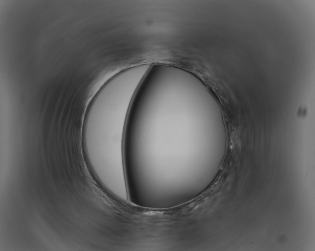 X0000093570052200710151024