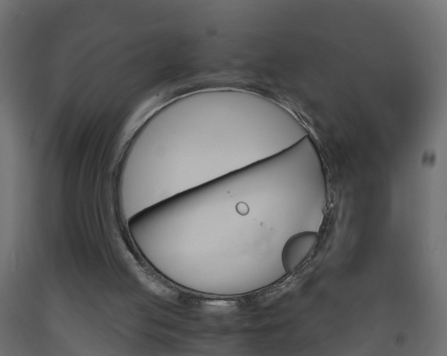 X0000093570053200710151024