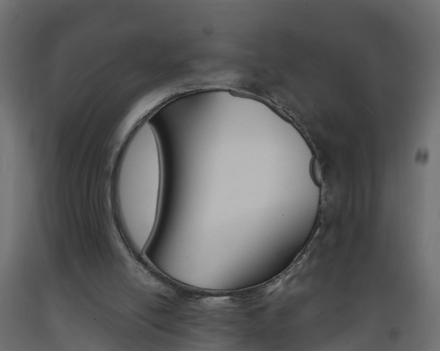 X0000093570054200710151024