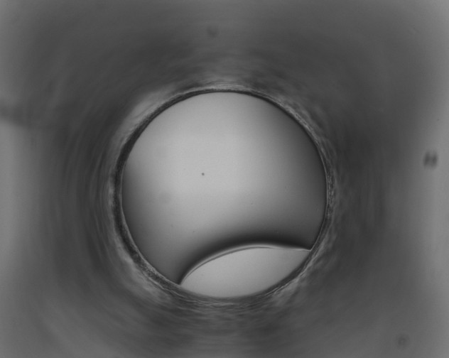 X0000093570055200710151024