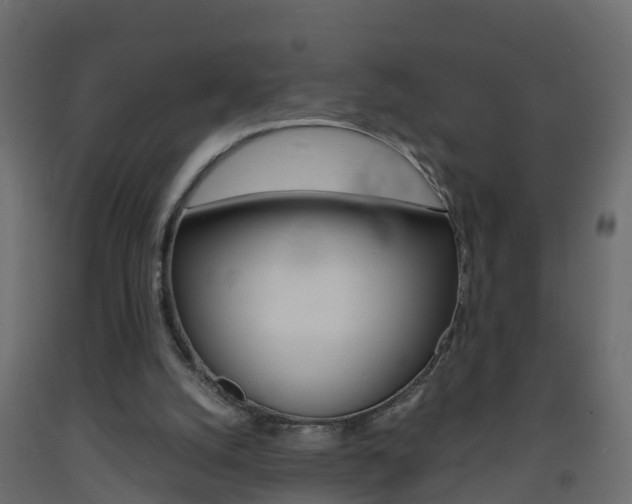X0000093570056200710151024