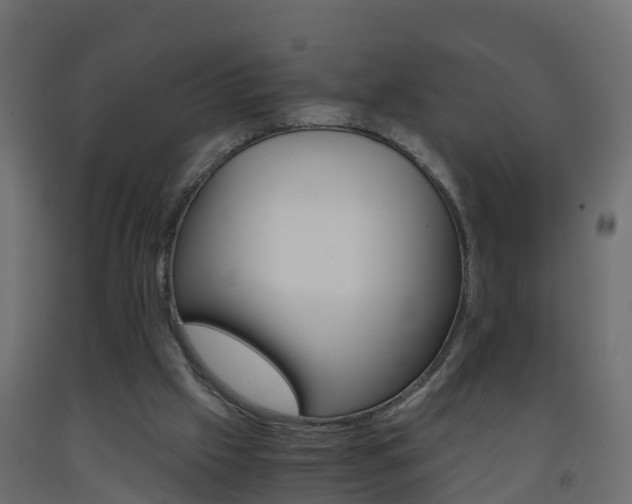 X0000093570057200710151025