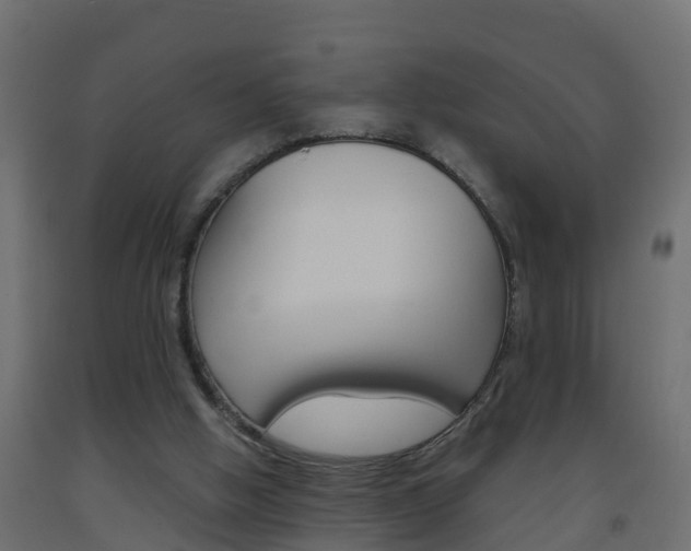 X0000093570058200710151025