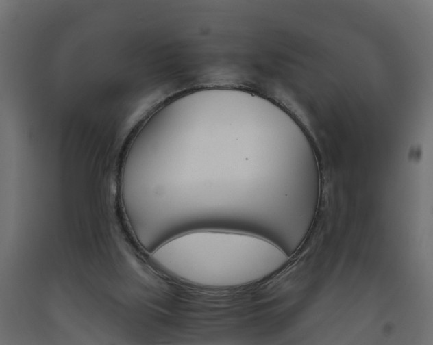 X0000093570059200710151025