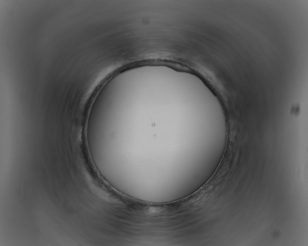 X0000093570060200710151025