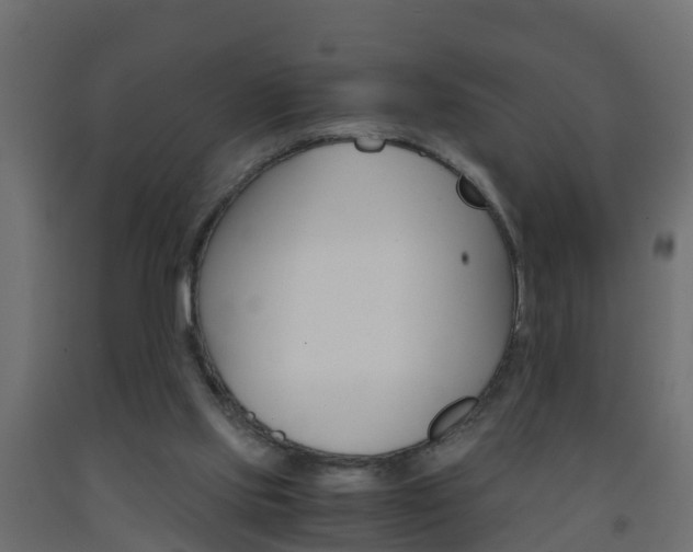 X0000093570061200710151025