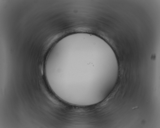 X0000093570062200710151025