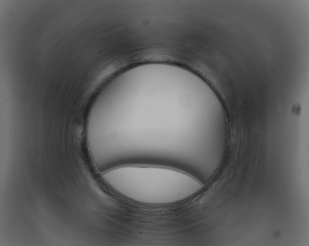 X0000093570063200710151025