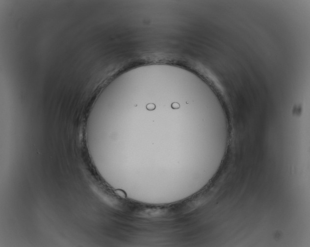 X0000093570065200710151025