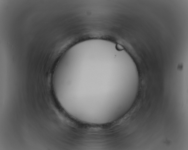 X0000093570066200710151025