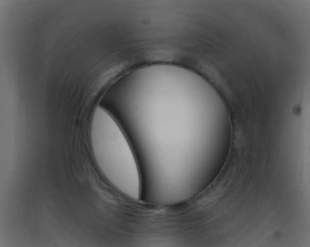X0000093570068200710151025