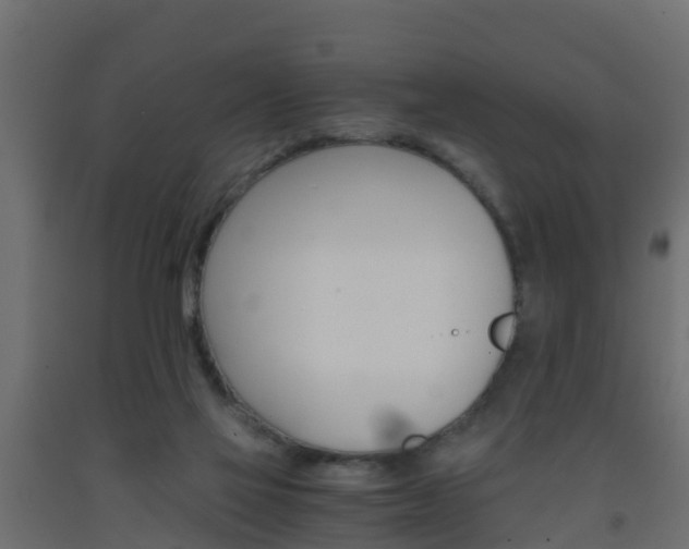 X0000093570069200710151025