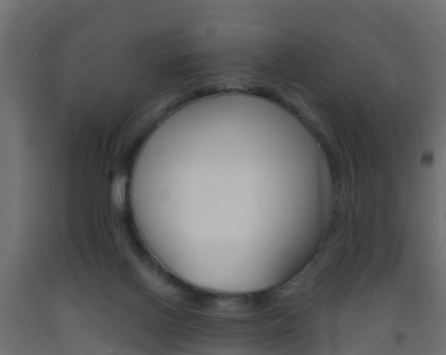 X0000093570070200710151025