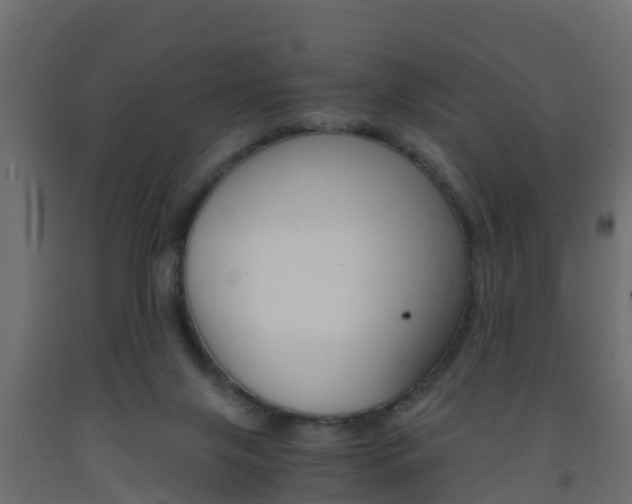 X0000093570071200710151025