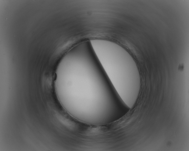 X0000093570072200710151025